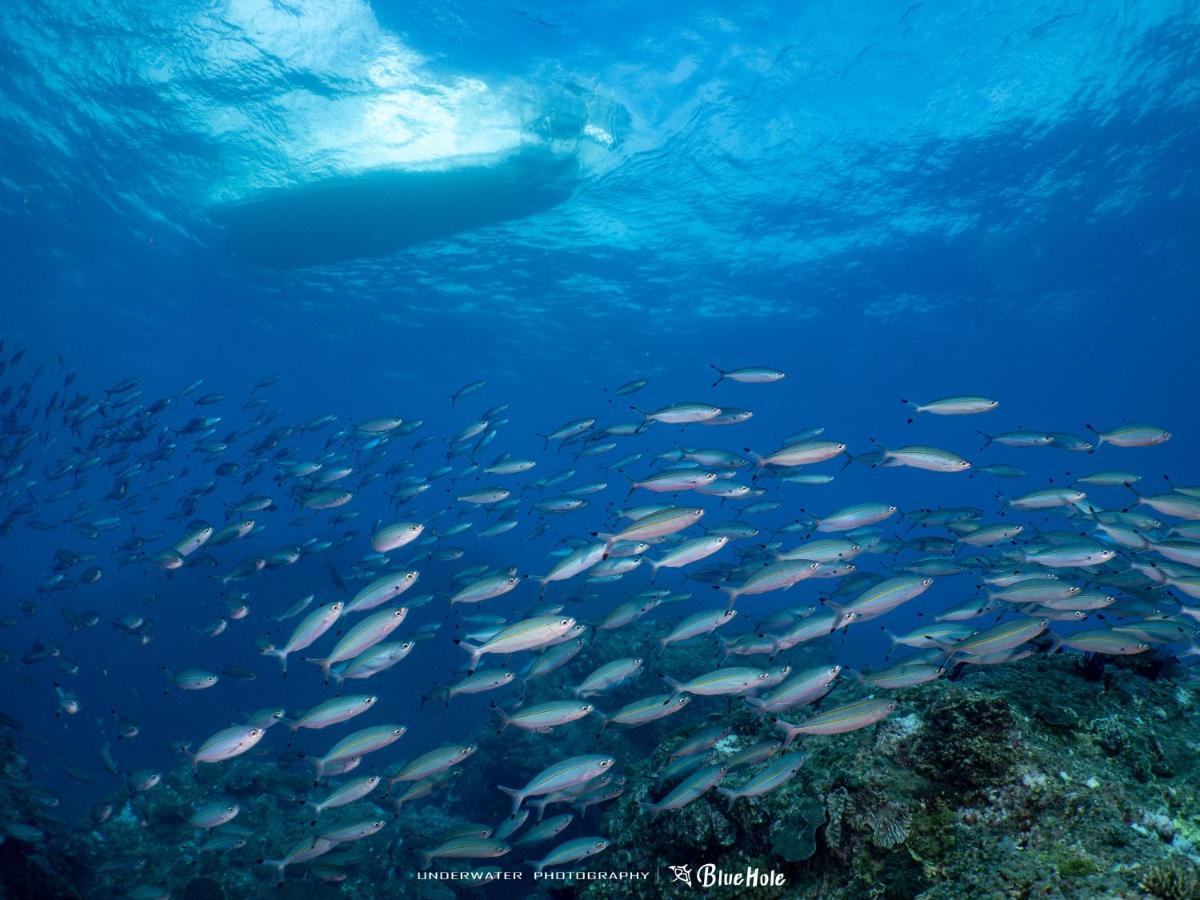 藍洞潛水blue Hole Dive Center Bed and Breakfast Heng-ch'un Exteriör bild